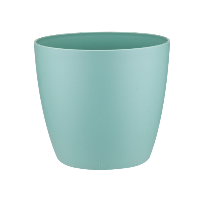 brussels rond 16cm menthe